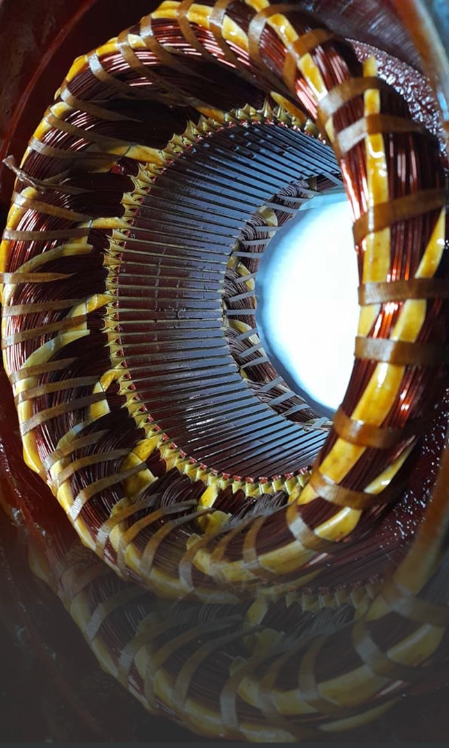 Rejuvenescimento de motores elétricos